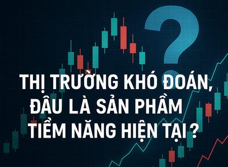 Thị trường khó đoán , đâu là sản phẩm tiềm năng hiện tại ?